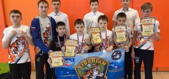 Открытый турнир Ленинск-Кузнецкого городского округа по муайтай