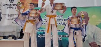 Региональные соревнования по киокусинкай, посвященные памяти тренера Артема Владимировича Мадьянова