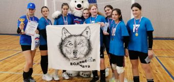 Открытый турнир по волейболу среди юношей и девушек до 16 лет, посвященный Дню народного единства