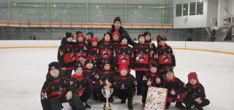 Открытый турнир по хоккею с шайбой «Кубок Осени» среди юношей 2014 года рождения