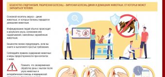 Осторожно! Бешенство!