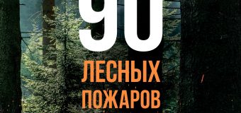 «Останови огонь!»