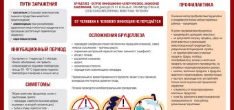 Осторожно: бруцеллез!