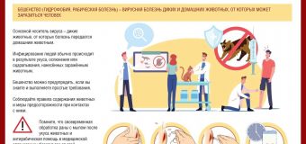 Осторожно! Бешенство!