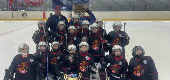 Открытый турнир по хоккею с шайбой