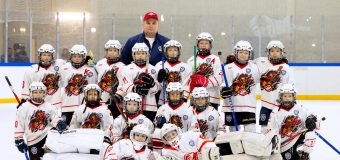 Открытый турнир по хоккею с шайбой  «SIBIRIUS»