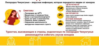 Внимание!Лихорадка Чикунгунья