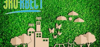 Финал VIII областного экологического квеста