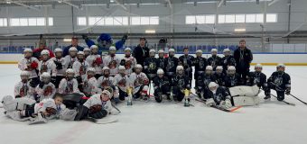 Соревнования по хоккею с шайбой «SIBIRIUS»