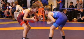 Региональные соревнования по спортивной борьбе (дисциплина — вольная борьба), посвященные памяти И.Ф. Литвина.