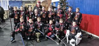 Новогодний турнир по хоккею