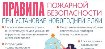 Правила пожарной безопасности при установки новогодней елки, а также запуска фейерверка!