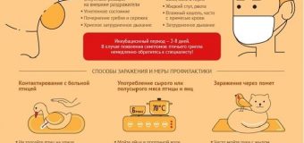 Внимание грипп птиц!