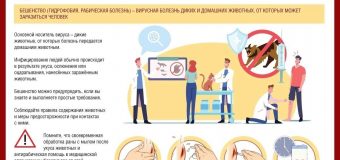 Осторожно! Бешенство