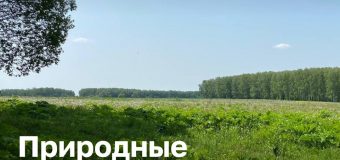 Природные пожары.