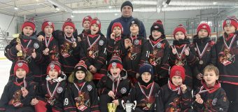 Турнир по хоккею с шайбой «Кубок Зимы»