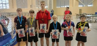Соревнования «Весенний Кубок» по настольному теннису