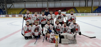 Турнир по хоккею с шайбой, среди мальчиков 2015г.р. «Посвященный дню Космонавтики»