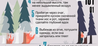 Что делать, если вы оказались в зоне лесного пожара?